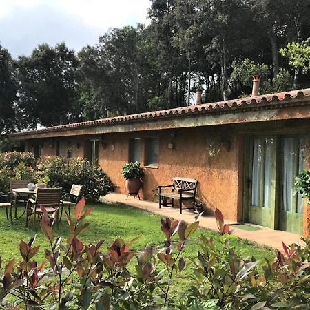 Aurora 2-Bed Cottage - Sleeps 4 - Montseny Park Arbucies Exterior photo