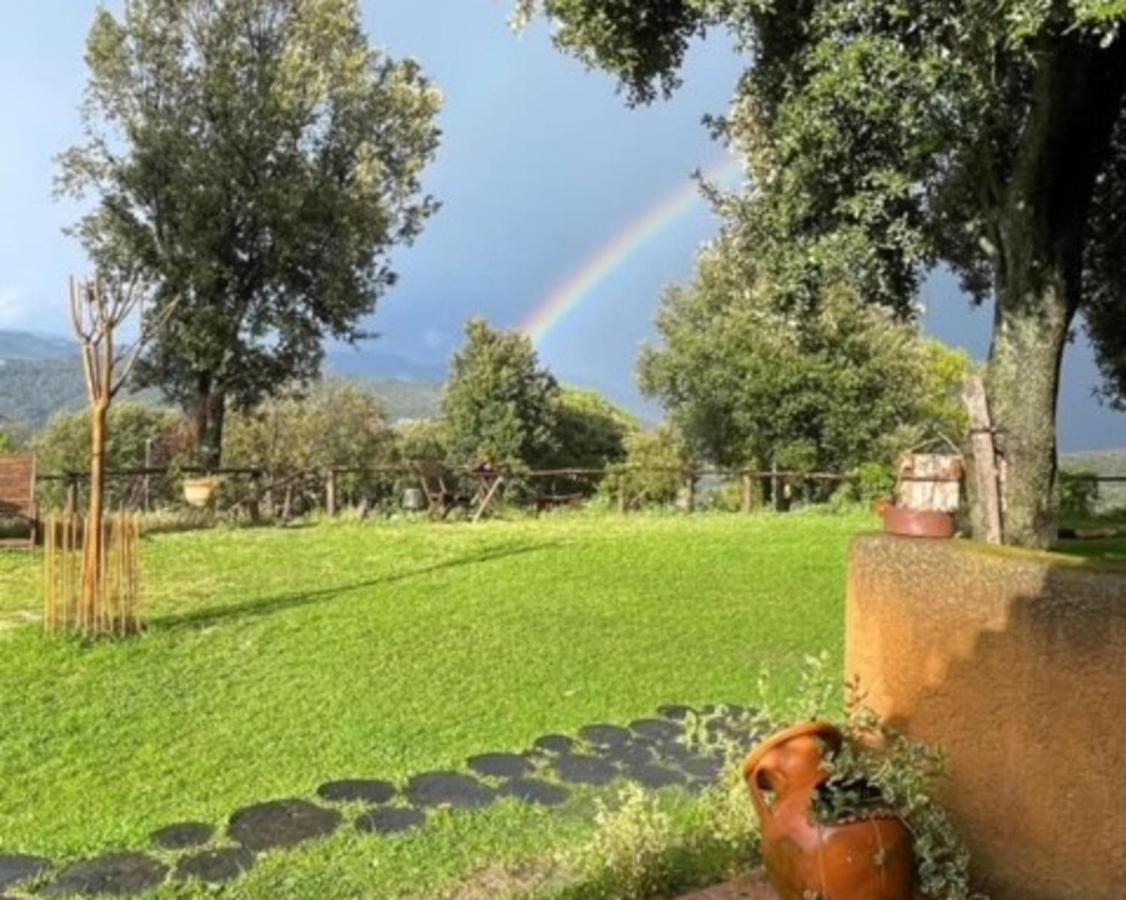 Aurora 2-Bed Cottage - Sleeps 4 - Montseny Park Arbucies Exterior photo